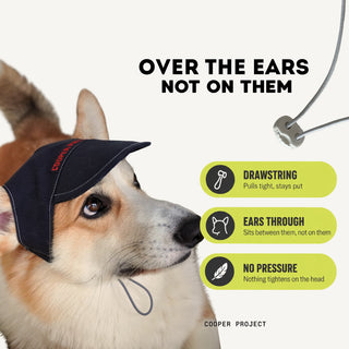 How the Navy Dog Cap sits: over the ears, not on them