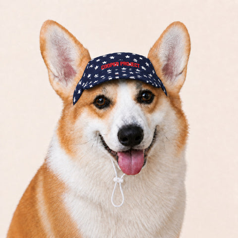 A corgi wearing the Navy Star Dog Cap