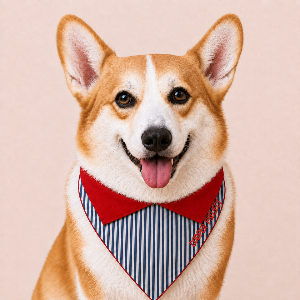 A corgi wearing the Navy Stripe Dog Bandana — Red Reverse