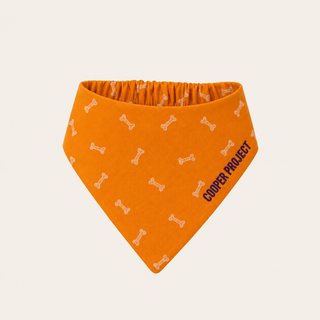 Orange Bone Dog Bandana — Violet Reverse, shown on its own