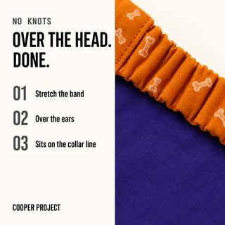 How the Orange Bone Dog Bandana — Violet Reverse goes on: over the head, no knots