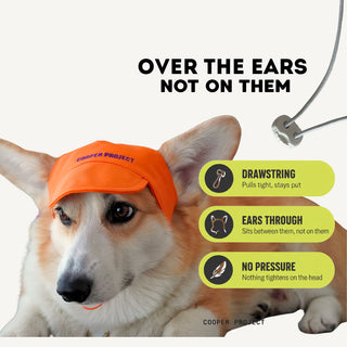 How the Orange Dog Cap sits: over the ears, not on them