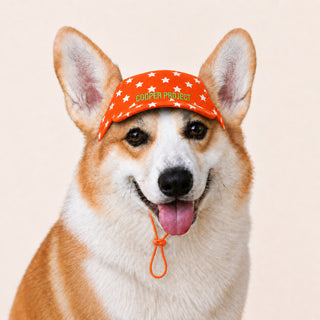 A corgi wearing the Orange Star Dog Cap