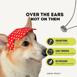 How the Orange Star Dog Cap sits: over the ears, not on them