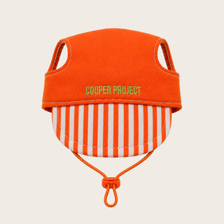 Orange Stripe Dog Cap, shown on its own