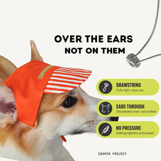 How the Orange Stripe Dog Cap sits: over the ears, not on them
