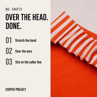 How the Orange Stripe Dog Bandana — Orange Reverse goes on: over the head, no knots