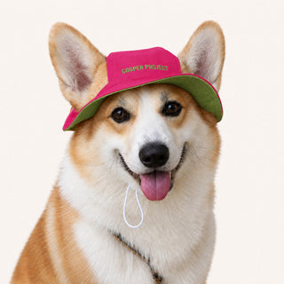 A corgi wearing the Pink Dog Bucket Hat — Sage Lining