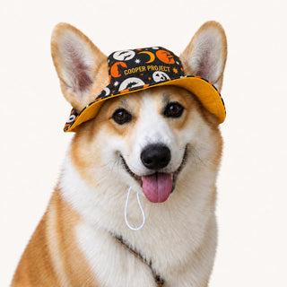 A corgi wearing the Pumpkin Moon Dog Bucket Hat