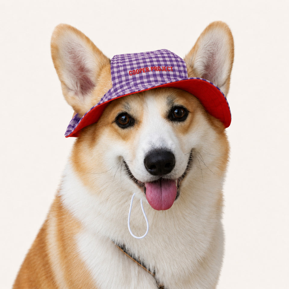 A corgi wearing the Purple Check Dog Bucket Hat — Red Lining