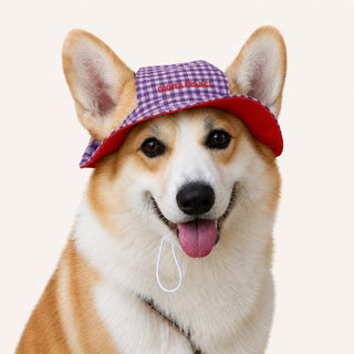 A corgi wearing the Purple Check Dog Bucket Hat — Red Lining