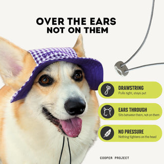 How the Purple Check Dog Bucket Hat — Red Lining sits: over the ears, not on them