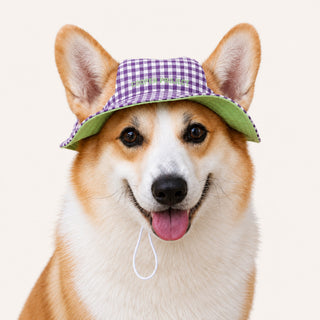 A corgi wearing the Purple Check Dog Bucket Hat — Sage Lining