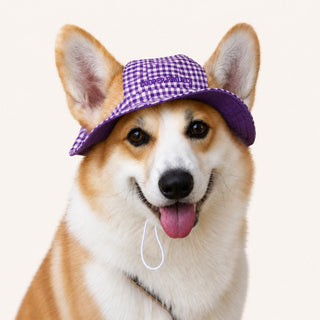 A corgi wearing the Purple Check Dog Bucket Hat — Violet Lining