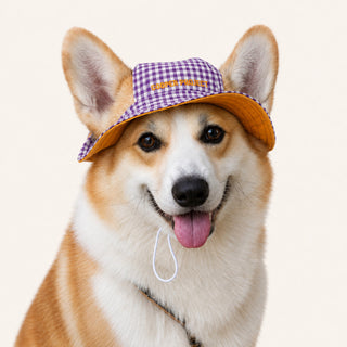 A corgi wearing the Purple Check Dog Bucket Hat — Yellow Lining
