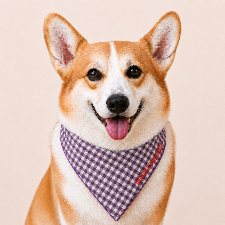 A corgi wearing the Purple Check Dog Bandana — Red Reverse