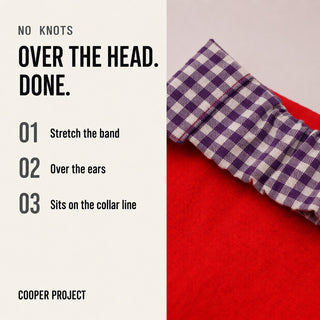 How the Purple Check Dog Bandana — Red Reverse goes on: over the head, no knots