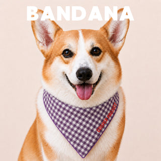 A corgi wearing the Purple Check Dog Bandana — Violet Reverse