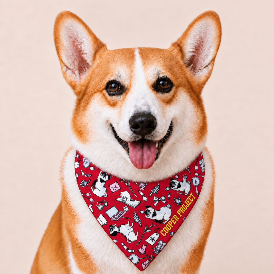 A corgi wearing the Red Dogs Bandana — Yellow Reverse
