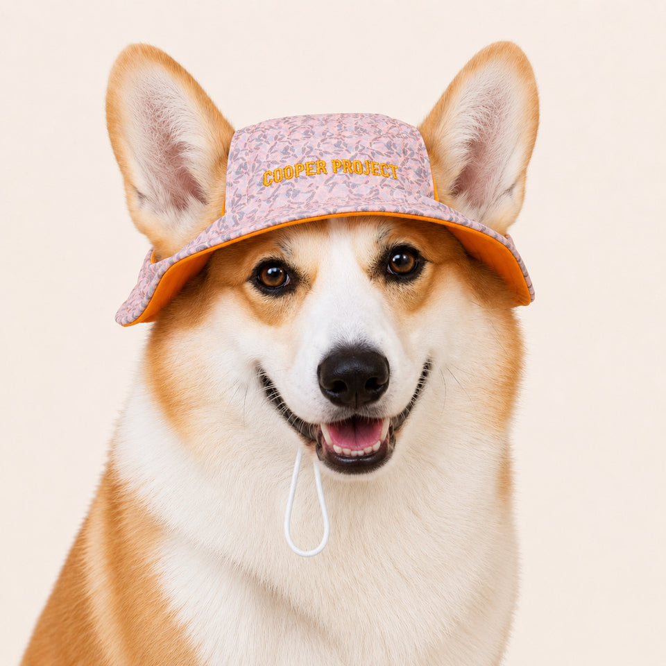 A corgi wearing the Rose Floral Dog Bucket Hat — Orange Lining