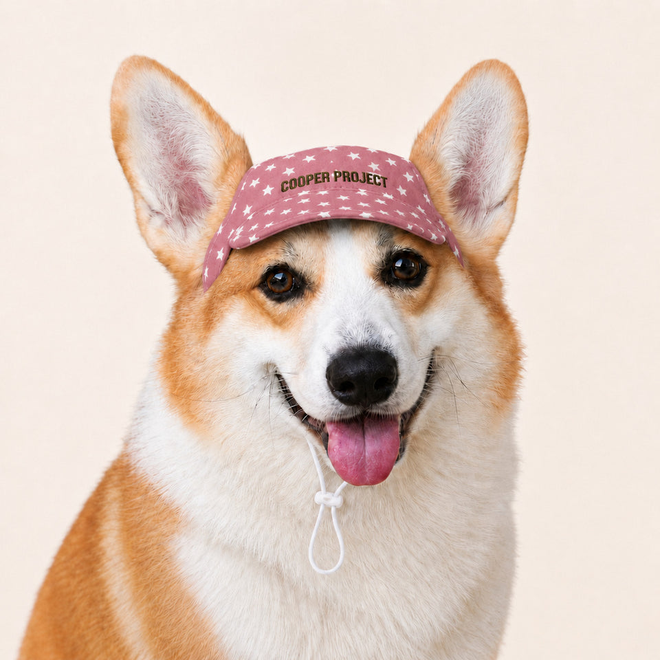 A corgi wearing the Rose Star Dog Cap