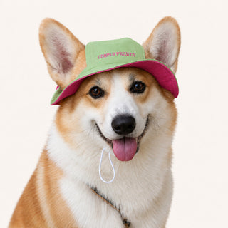 A corgi wearing the Sage Dog Bucket Hat — Pink Lining