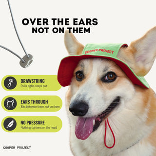 How the Sage Dog Bucket Hat — Red Lining sits: over the ears, not on them