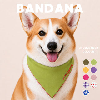 A corgi wearing the Sage Dog Bandana — Red Reverse
