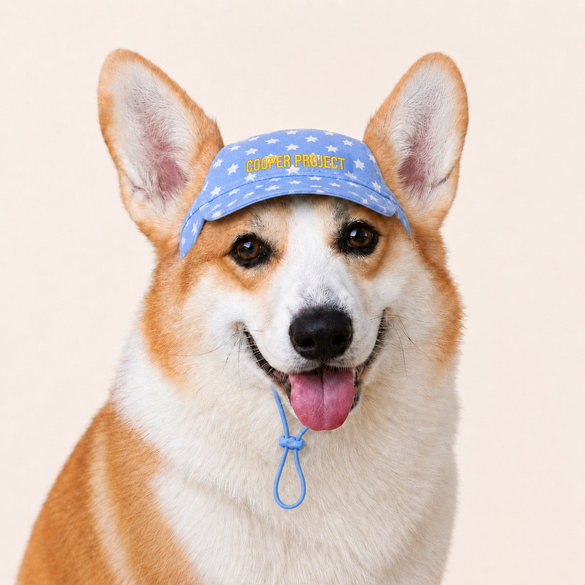 A corgi wearing the Sky Star Dog Cap