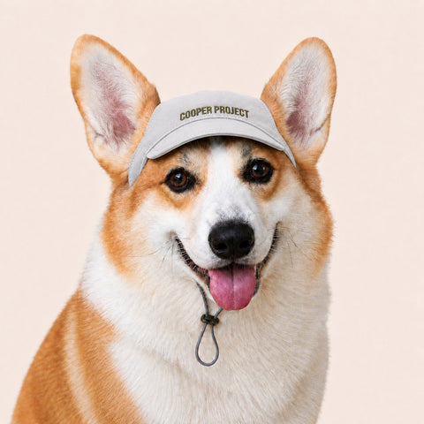 A corgi wearing the Stone Dog Cap