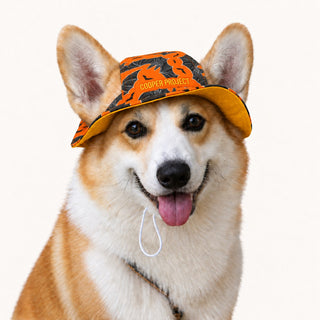 A corgi wearing the Vintage Bats Dog Bucket Hat