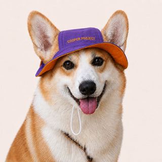 A corgi wearing the Violet Dog Bucket Hat — Orange Lining