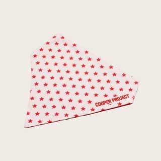 White Star Dog Bandana, shown on its own