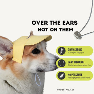 How the Yellow Dog Cap sits: over the ears, not on them