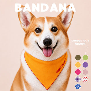 A corgi wearing the Yellow Dog Bandana — Red Reverse