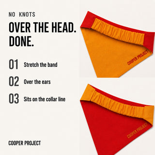 How the Yellow Dog Bandana — Red Reverse goes on: over the head, no knots